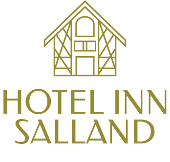 Hotel Inn Salland