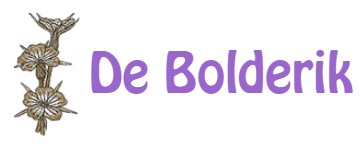 De Bolderik