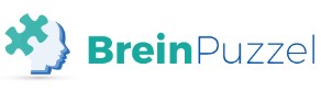 Stichting de Breinpuzzel